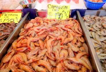 Conapesca: Entra veda de camarón el 20 de marzo; Buscan aprovechamiento comercial